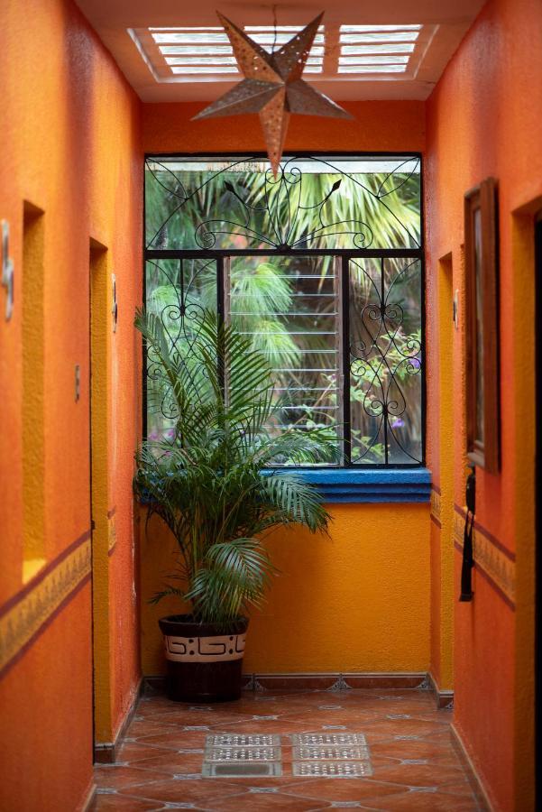 Planet Hostel San Cristóbal de Las Casas Zewnętrze zdjęcie